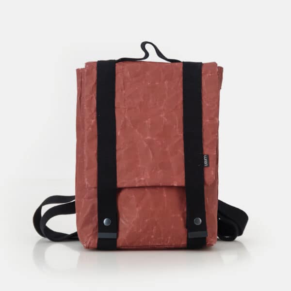 WREN BackPack Brick 1 scaled