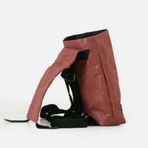 WREN BackPack Brick 3