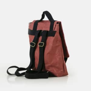 WREN BackPack Brick 4