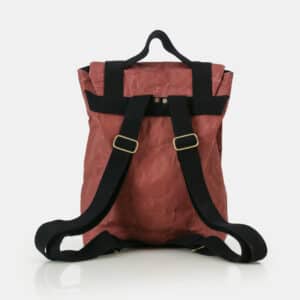 WREN BackPack Brick 5